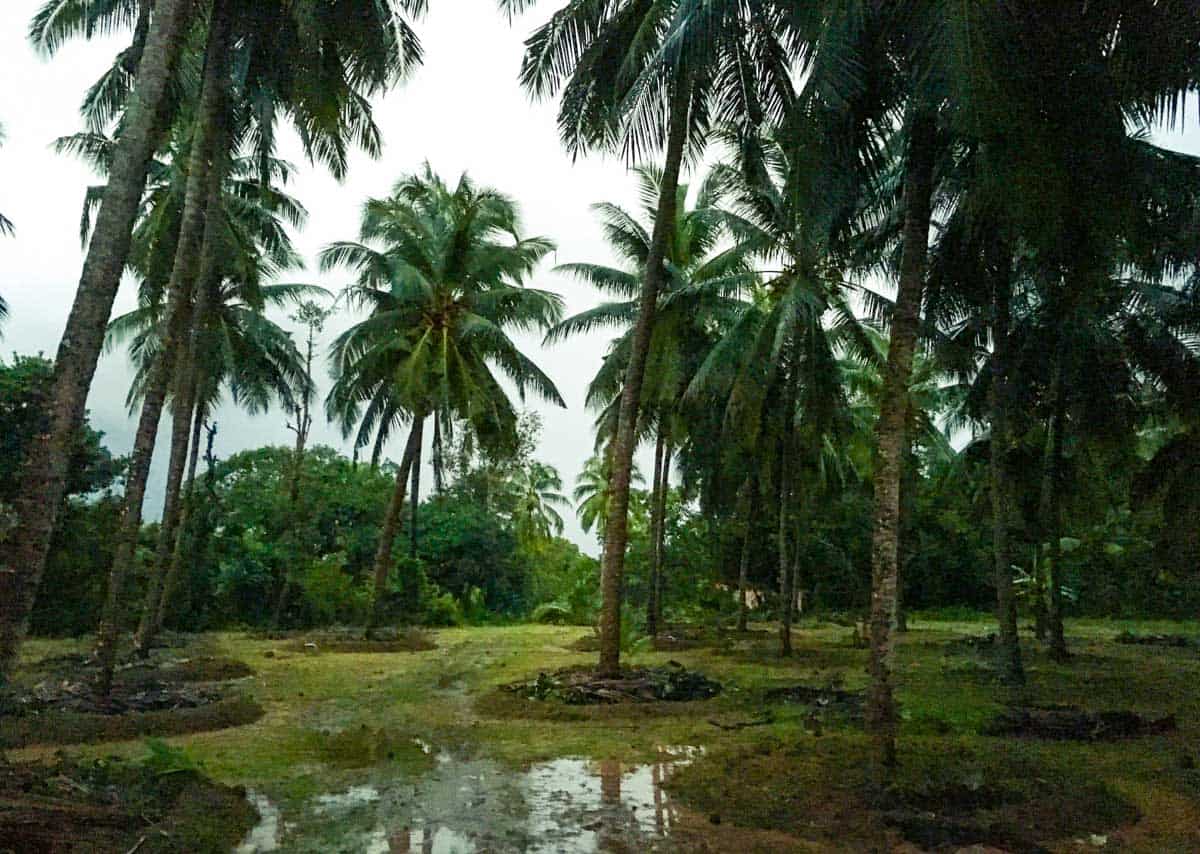 Mangalore home backyard