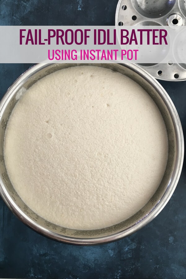 How To Steam And Ferment Idlis Using Instant Pot Simple Indian Meals