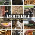 A collage of images from Kansas Farm Tour