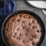 A springform pan with chocolate chip brownies and the words Instant Pot Brownie Recipe at the top.