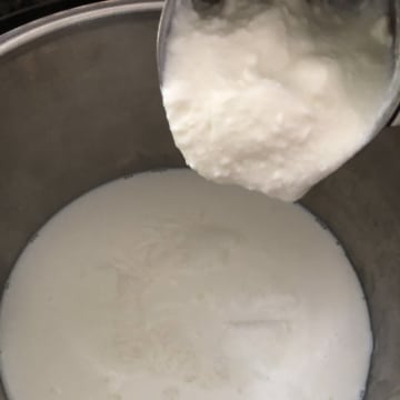 Yogurt being poured into the milk in the instant pot.