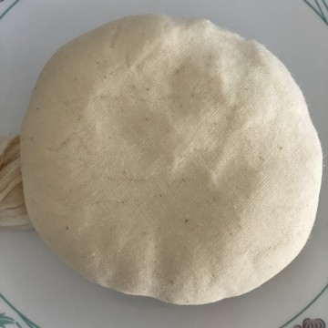 A wheel of homemade paneer in a cheesecloth on a white plate.