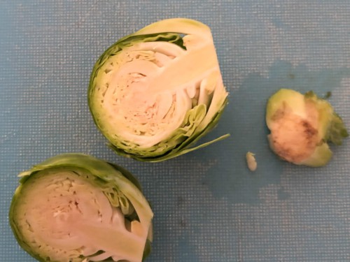 A blue cutting board with the end trimmed off a Brussel sprout and the Brussel sprout cut lengthwise.