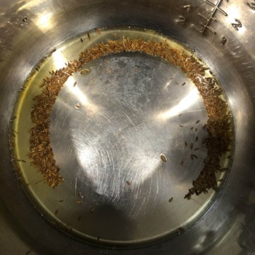 Oil and cumin seeds in the instant pot.
