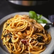 A grey plate with vegetarian spaghetti with a silver fork on the right and basil in the back with the instant pot behind the plate and the words Instant Pot Pasta in under 30 minutes at the top.
