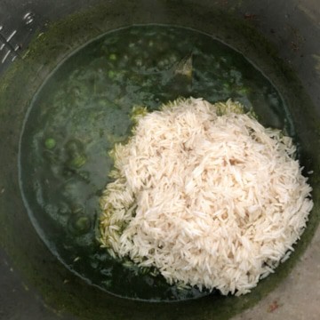 Inner pot with spinach puree and soaked rice.