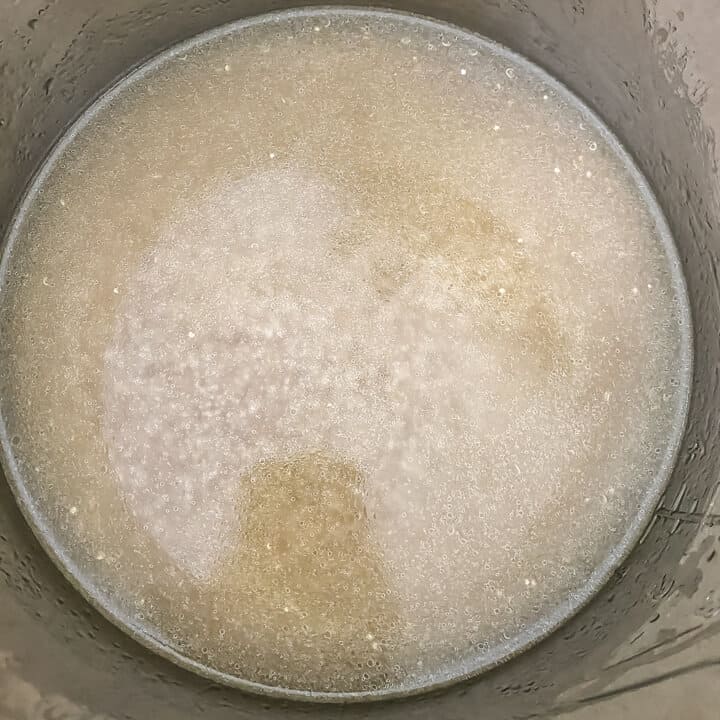 Water mixed in the inner chamber before cooking.
