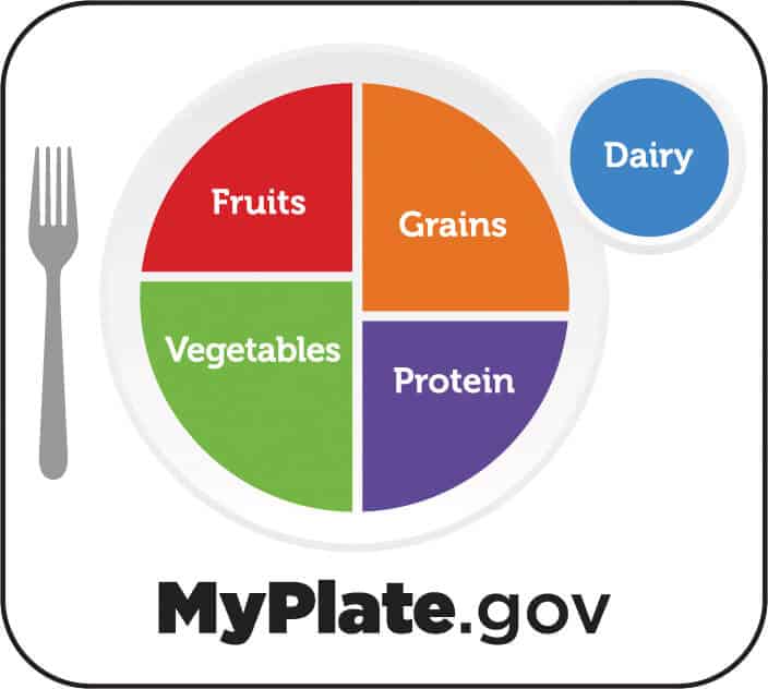 A depiction of USDA my plate concept. A plate is divided into fruits, grains, vegetables and proteins.