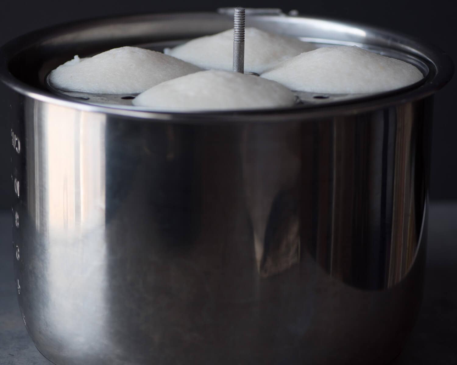 Idli cooked in an Instant Pot