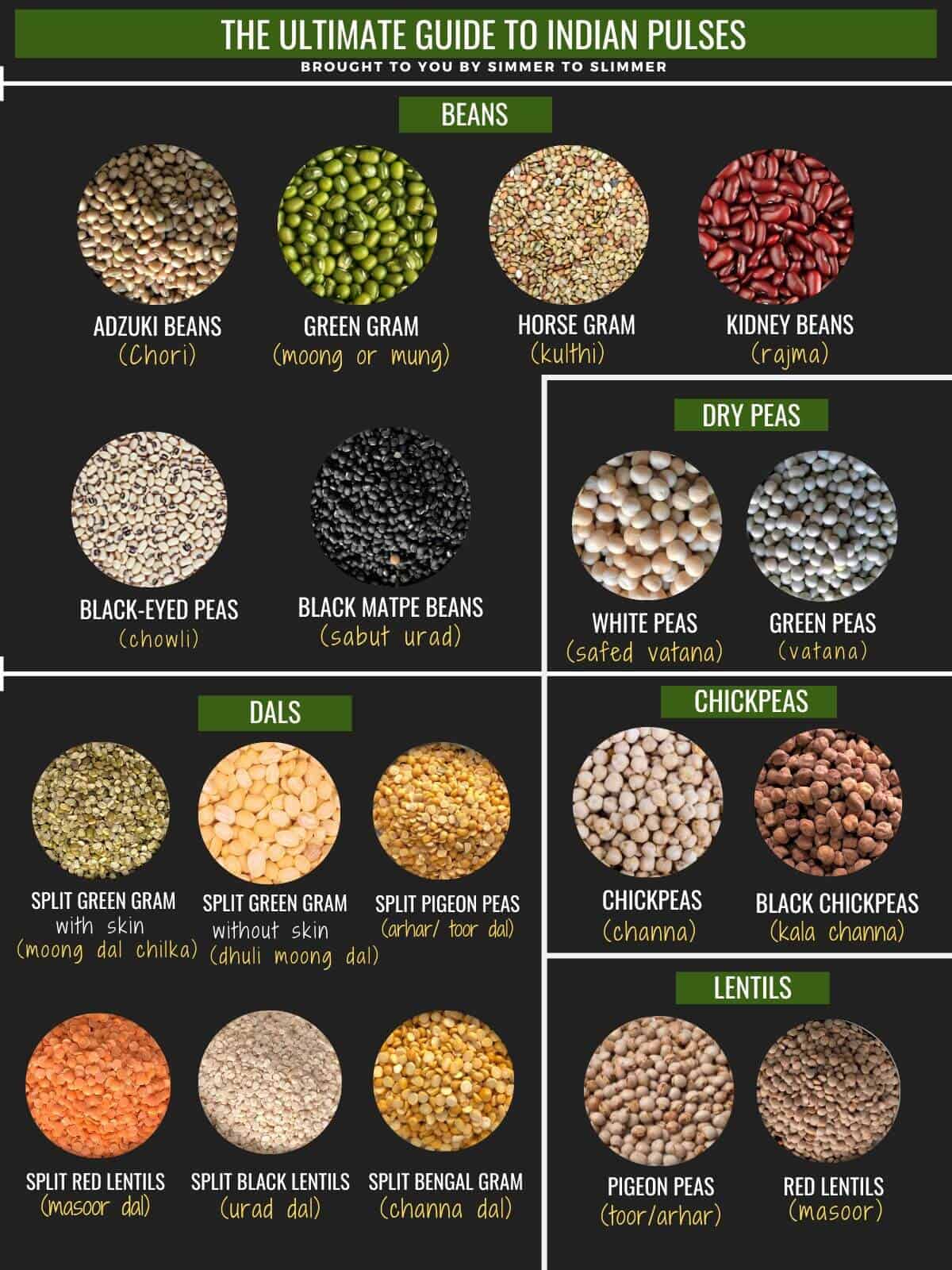 An infographic on different types of pulses